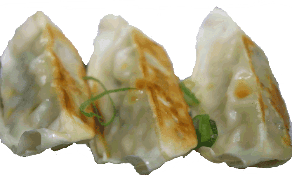 66. Gyoza