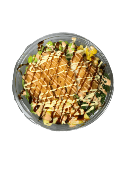 Pokebowl met Kip (klein)