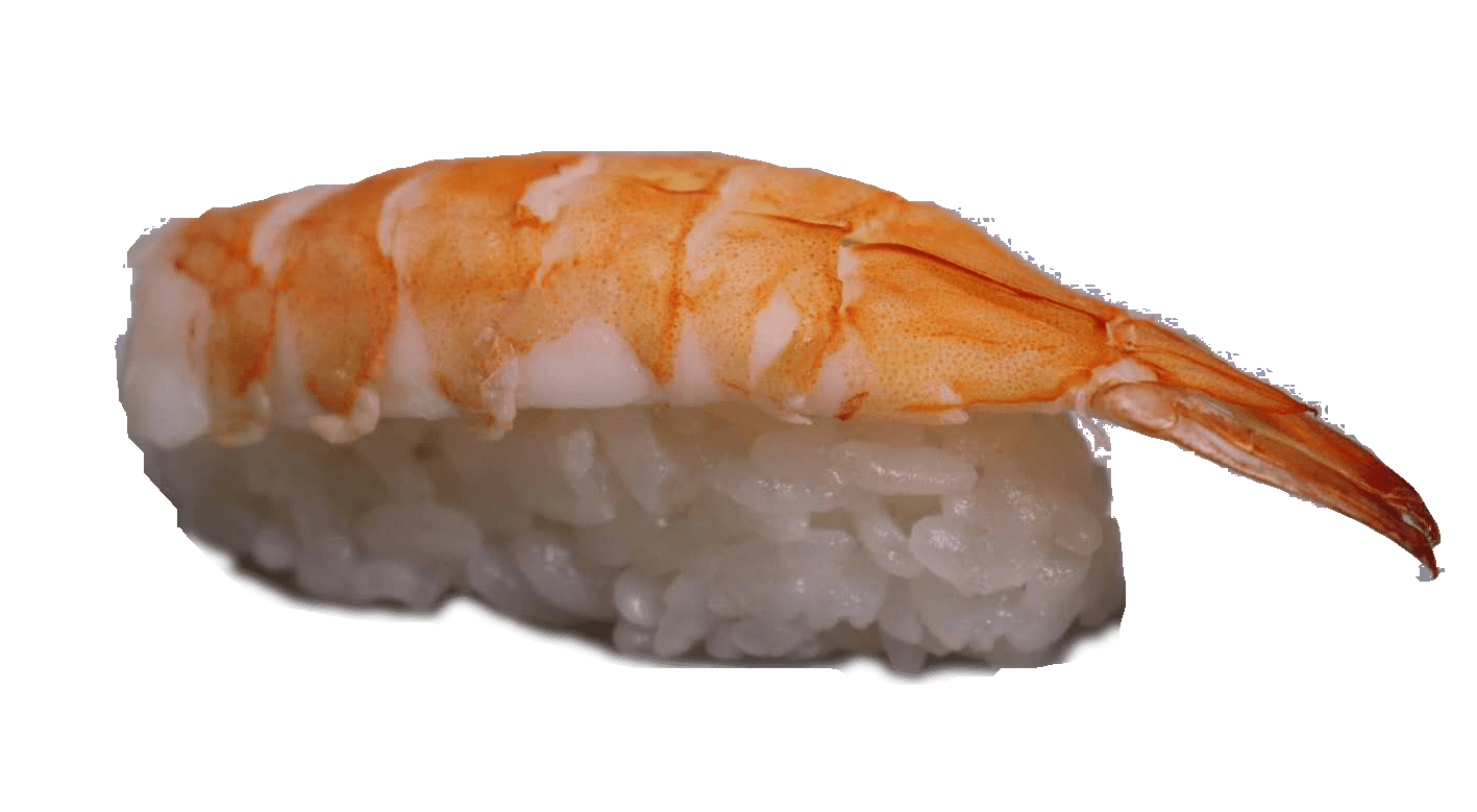 15. Ebi Nigiri 