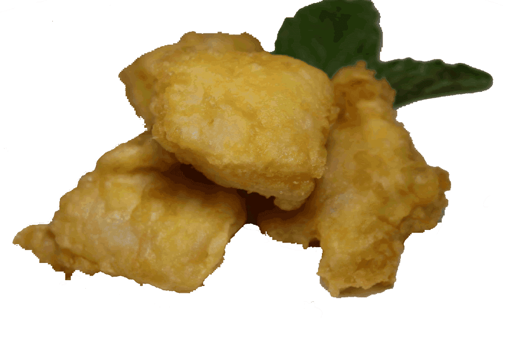 65. Gefrituurde Kibbeling